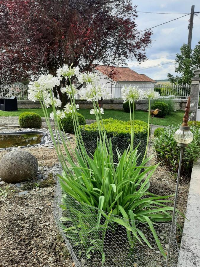 Gite Des Agapanthes Lacroix-sur-Meuse Exterior photo